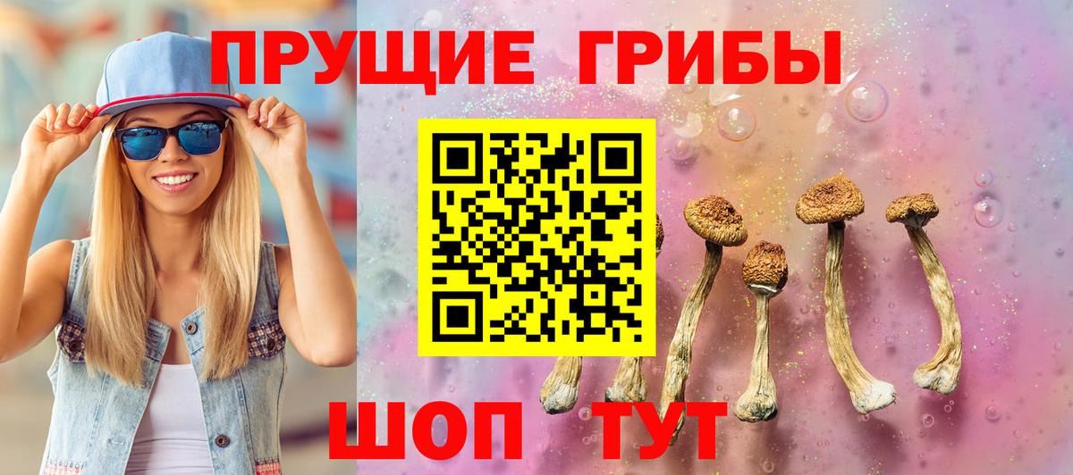 Балтийск  Псилоцибиновые грибы MAGIC MUSHROOMS  Вход с VPN  Галлюциногенные грибы Psilocybine cubensis 